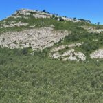 IMG_0099