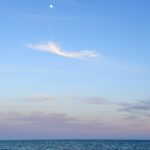 IMG_8878